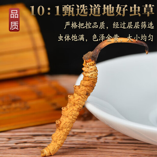 冬虫夏草 藏区雪域虫草3根一克干货冬虫草送礼佳品 50根 礼盒装
