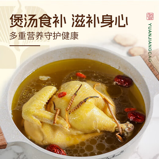 源江草冬虫夏草 新干虫草滋补品送父母长辈滋高端礼盒 2根/g 20克【滋补礼盒】