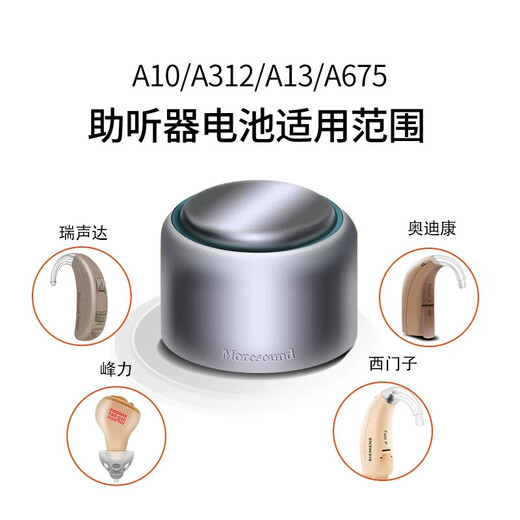 Xiwanbo allemand PowerOne Aide PowerOne Battery P10P13P312P675A