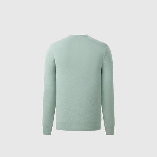 Biyinlefen sheep wool spring and autumn men's casual all-match sweater warm round neck textured wool sweater skin-friendly 75 light green S