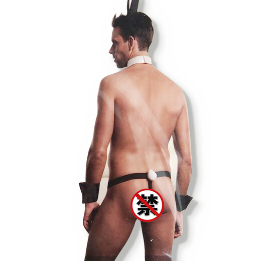 Rabbit Boy Sexy Underwear Clothing for Men Rabbit Tail Men's Special Thong Clothes Sexy Underwear Uniform Picture Style 5 (Underwear will not be returned or exchanged upon receipt) One size fits all (110-160 Jin Jin equals 0.5 kg, all can be worn)