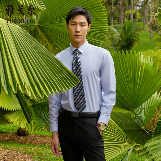 雅戈尔（YOUNGOR）Youngor/免烫衬衫男男士长袖衬衫条纹衬衫男轻商务易打理 白底蓝条 42 （180/100A）
