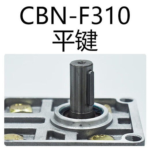 Hydraulic oil pump high pressure gear pump CBNF304 306 308 310 312 314 316 320 325 CBNF308 right flat key