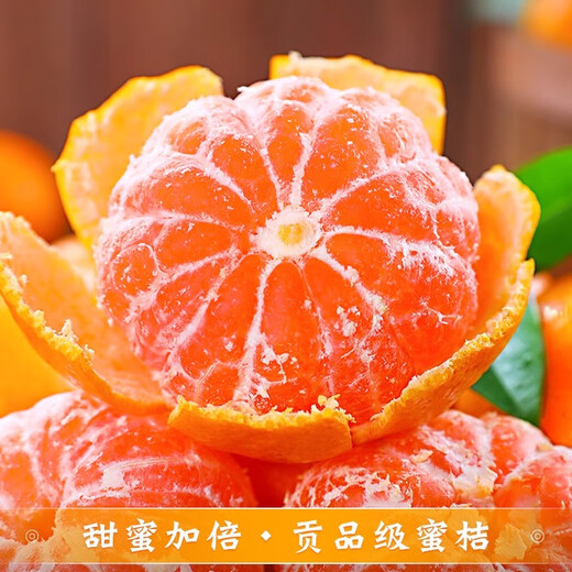 京觅浙江涌泉蜜桔 净重4.5斤 单果50mm+无籽蜜橘新鲜采摘源头直发包邮