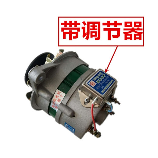 悦常盛农用车12v24v新铜时风动单缸柴油机发电机 无调铝线12V左旋JF11166-5