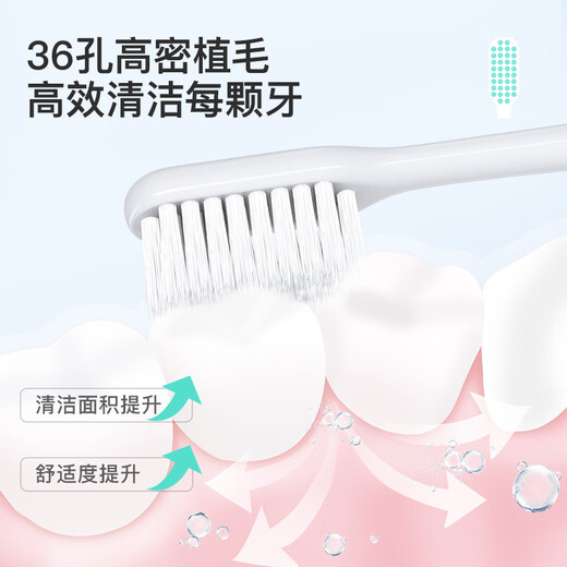 贝医生 DR.BEI牙刷软毛 细毛护龈 进口软毛牙刷 青春版白色单支装