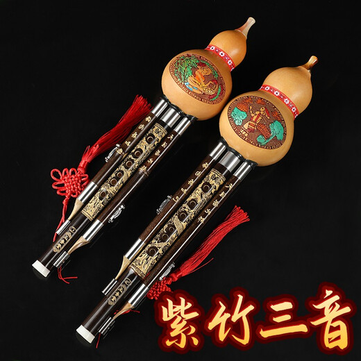 
Zhengyintang Hulusi Musical Instruments Beginners Elementary School Students Professionally Playing Seven-Operated Purple Bamboo Tube Hulusi Semi-Relief Hulusi Small D-Tune (Purple Bamboo Tube)