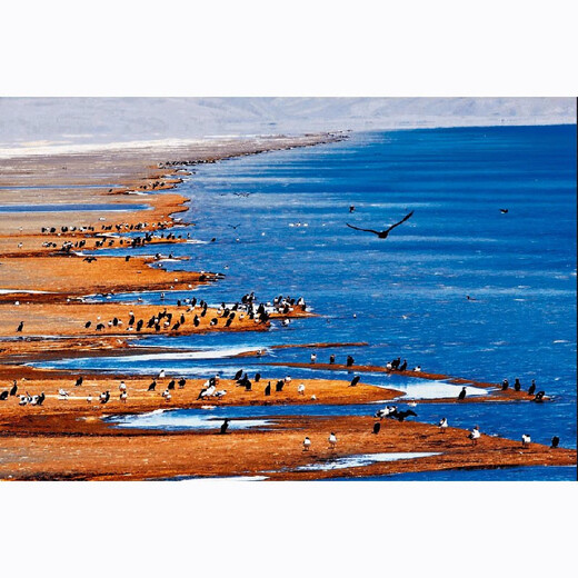 China National Geographic Magazine Beauty Pageant China Special Edition Beauty Pageant China (Hardcover Revised Fourth Edition, October 2005) Ranking of China's Most Beautiful Places Humanities, Landscapes, History, Tourism Journals, Popular Science Books, Cultural Geography Knowledge Books