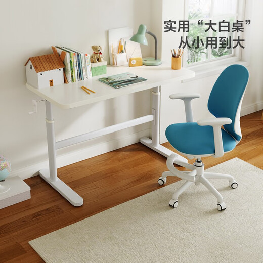 Lin's home children's study desk liftable desk home computer desk elementary school student small apartment LS690 1.2m study desk + bookshelves