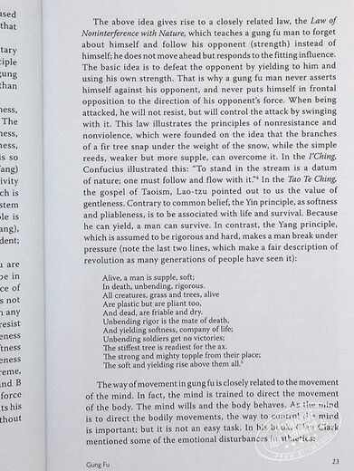 生活中的李小龙艺术家英文原版Bruce Lee Artist of Life John Little