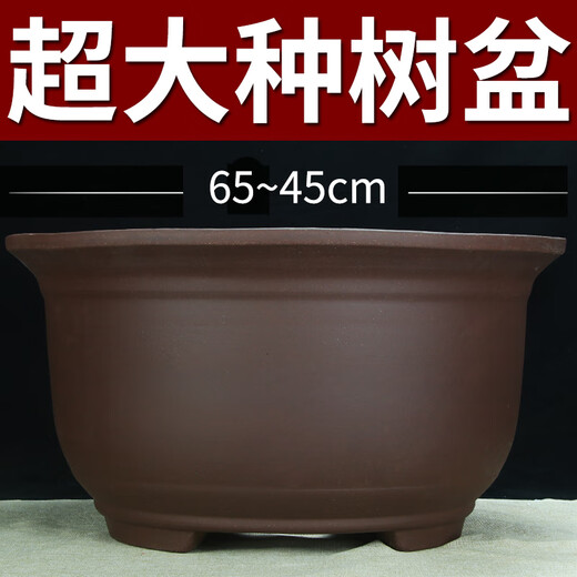 特大号紫砂花盆种树老桩60cm以上超大种发财树铁树陶瓷盆 紫砂 x 854一套三个