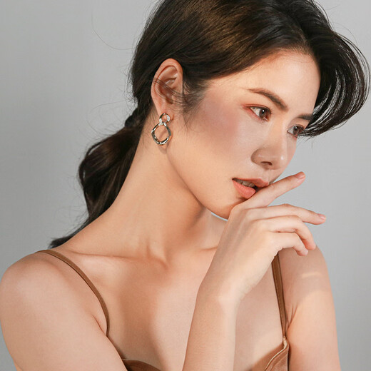 Qlady Geometric Earrings Women's Fashion Temperament 925 Silver Needle Light Luxury Earrings Niche Design Birthday Gift for Girlfriend