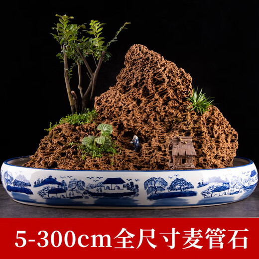 Shiguang Xiaozhan boutique gold straw stone natural water-absorbing stone rockery bonsai stone plant fossil small ornaments straw stone 31-35cm piece