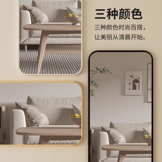 Jungle dressing mirror floor-standing full-length mirror hanging door clothing store fitting mirror simple home wall-mounted mirror black edge 160*50