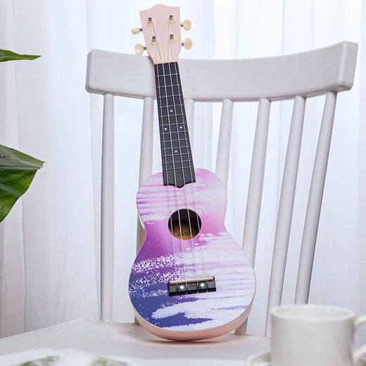 Hochwertige Ukulele-Anfänger, erwachsene weibliche und männliche Internet-Berühmtheit können kleine Gitarre 23-Zoll-Graffiti Purple Paket zwei spielen