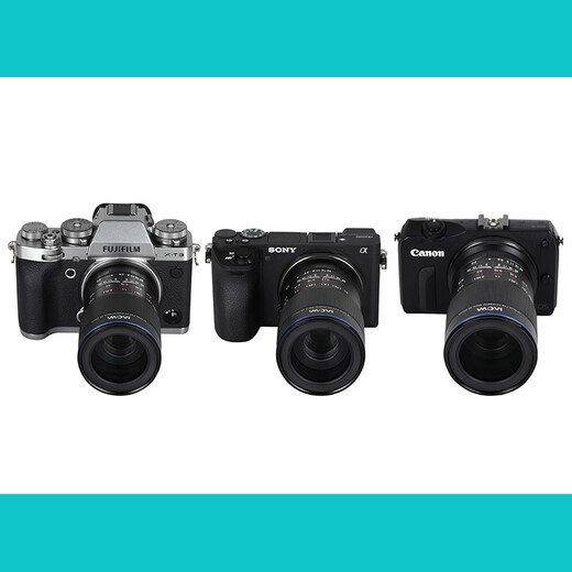 LAOWA 65mm F2.8 Half Frame 2x Macro Lens Portrait Food Flowers Insects Black Canon RF Port