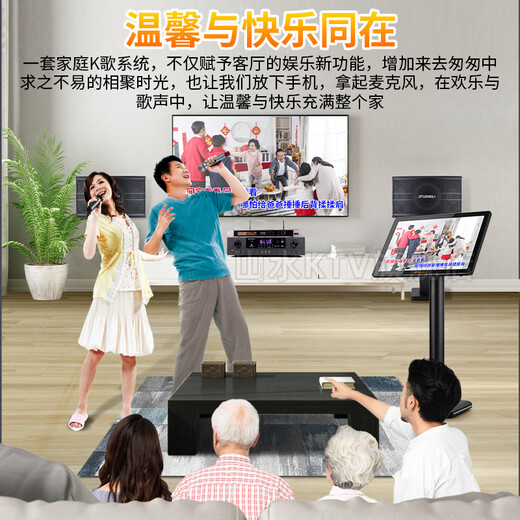 Shanshui (Sansui) 2024 Neues PK09 Professioneller KTV Audio Karaoke Conferen