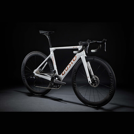 SUNPEED高士特公路车GUSTO COBRA EVO碳纤维碟刹电变破风电变24速自行车 SPORT ULTRA 7170