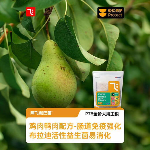 Alfie & Buddy dog food p78 chicken beef salmon calcium supplement care coat probiotics full price dog food 4Jin Jin equal to 0.5kg 2kg chicken and duck formula