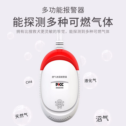 立可安 立可安科技蜂窝煤气报警器一氧化碳泄露检测仪co报警器北方取暖煤炉煤炭燃烧 681普通一氧化碳报警器