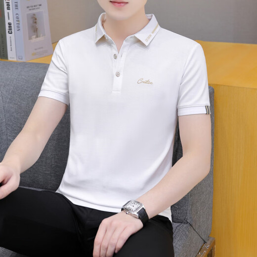 CAIDEN KETCH男装品牌短袖polo衫t 恤男士2025夏季新款商务休闲百搭透气上衣服 黑色679 XL （建议126-140斤）