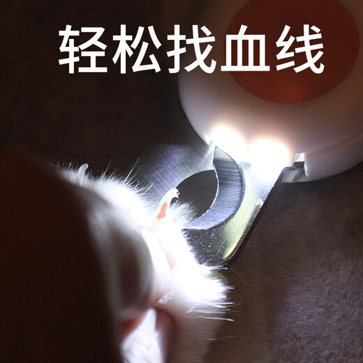 Cat Nail Clippers Pet Nail Clippers Special Nail Clippers for Dogs and Cats Claws LED Bloodline For Kittens and Cats No Specifications 1 file with random color