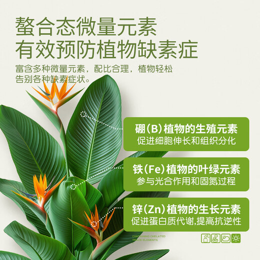 Stanley large element water-soluble fertilizer for flowers, high nitrogen, high phosphorus, high potassium nitrogen fertilizer, phosphate fertilizer and potassium fertilizer, general compound fertilizer 500g