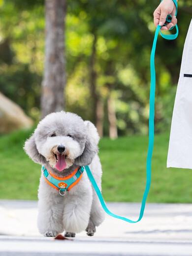 Hui Chong Er Teddy Dog Leash Vest Type Small Dog Chain Bichon Pomeranian Harness Pet Outdoor Dog Leash Orange + 1.5 Meter Flat Rope M Code (Recommended 7-13 Jin Jin equals 0.5 kg)
