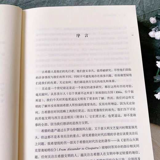 The Rise of the Greeks (Twentieth Century Humanities Translation Series)