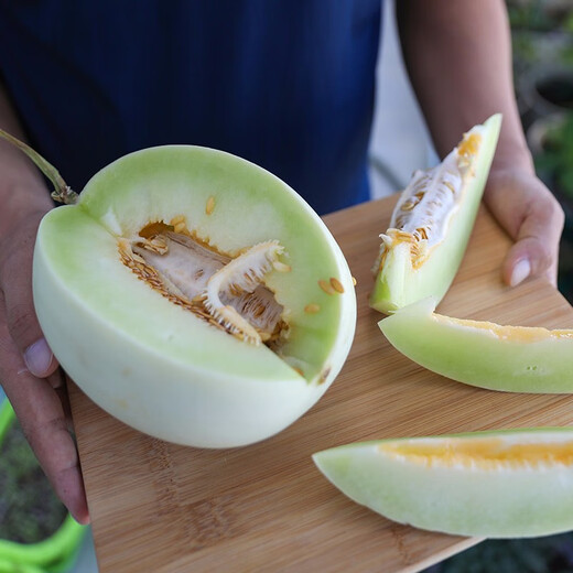 Shouhe Yugu melon, jade mushroom melon, sweet, crisp and tender melon, family field planting, winter and spring sowing melon seeds, new Yugu melon seeds, 30 capsules