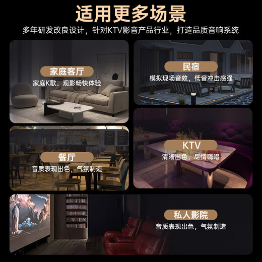HYUNDAI modern home ktv audio set home karaoke home theater karaoke jukebox high-power speaker combination dual 6.5-inch speaker + 300W amplifier + wireless microphone