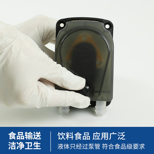杰恒304KB大流量蠕动泵奶茶饮料机工业灌装泵果糖浆机自吸泵水泵 304KB/BT-300R-1479ml/min
