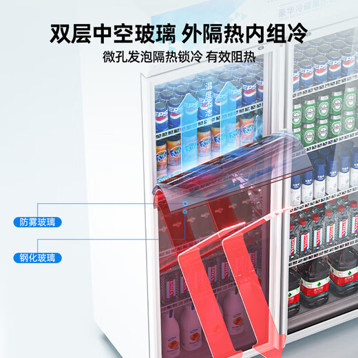 RoyalStar Getränkesschrank gekühltes Obst Frische Schrank einzelner Tür vertikaler Display Gefrierschrank Doppeltür Wein luftgekühlte Frost-freie Displayschrank Kühlschrank Kühlschrank für drei Türe-Displayschrank [Aluminium-Legierungs-Tür] Doppeltür 728L 丨 luftgekühlte Frostfreiheit