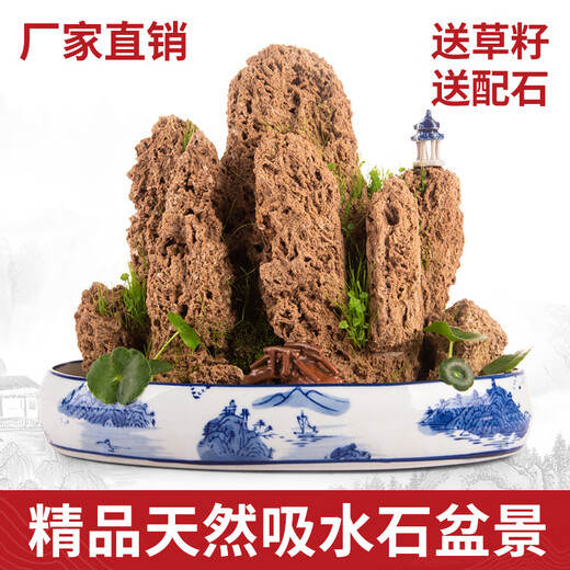 Landscape green sculpture natural water-absorbent stone bonsai customized water-absorbing rockery stone micro-landscape decoration stone ornamental 2 pieces of 10-15cm wool + mixed grass seeds