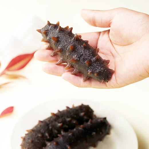 Haiyantang Dalian frozen ready-to-eat sea cucumber 1 Jin Jin is equal to 0.5 kg, 10-12 pieces, Liao sea cucumber seafood and aquatic products nourishing New Year gift box