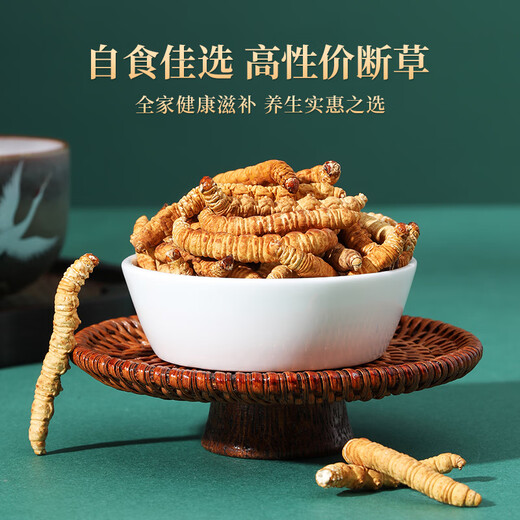 紫蓝花海100g 大号断草 冬虫夏草新干高品质断虫草送父母【健康礼盒】