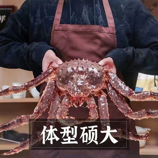 海泽鲜 帝王蟹礼盒生鲜大礼包 波士顿龙虾高档海鲜礼盒 重约8-9斤（帝王蟹礼盒1098款）