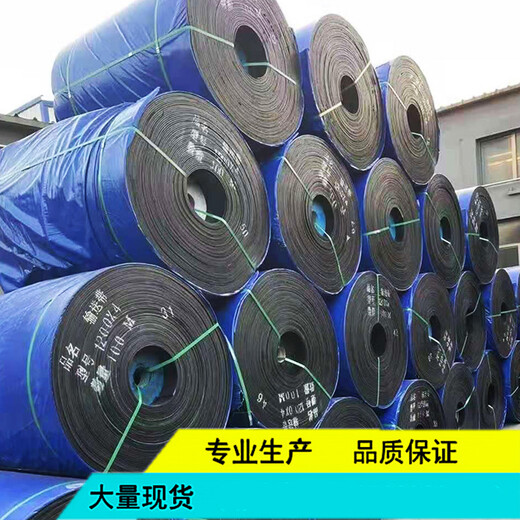 Ben Xinnong customized production polyester conveyor belt 1000 wear-resistant nylon pattern conveyor belt conveyor belt nylon belt 800*5 (3+1.5)/meter