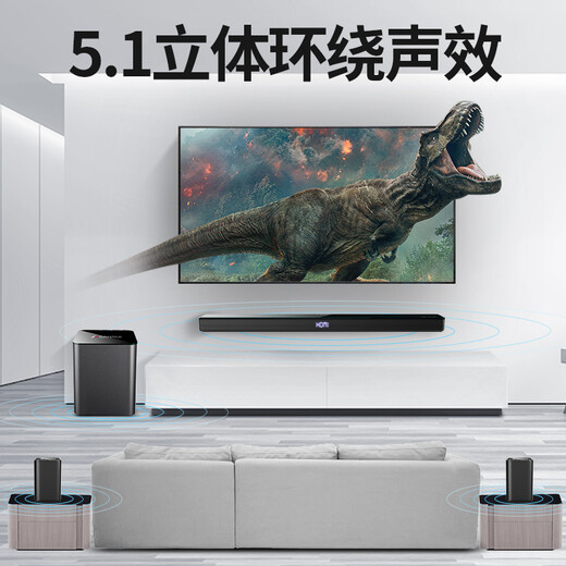 山水（SANSUI）DV-95E回音壁电视音响 杜比5.1声道全景声家庭影院 家庭KTV套装智能蓝牙家用K歌卡拉OK 带麦克风