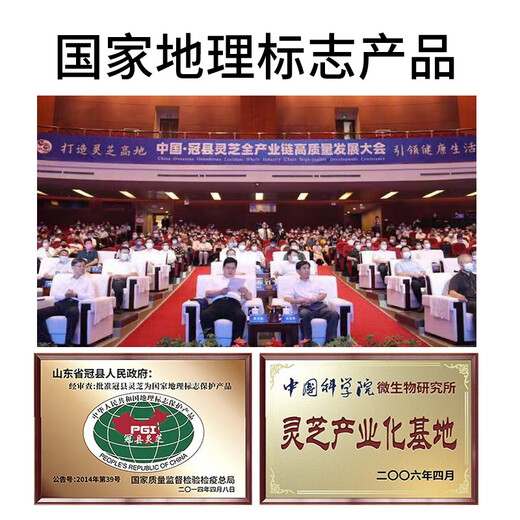 
Break wall-removing Ganoderma lucidum spore powder gift box health food traditional nourishing to enhance immunity Spore powder capsule 60g/box X2
