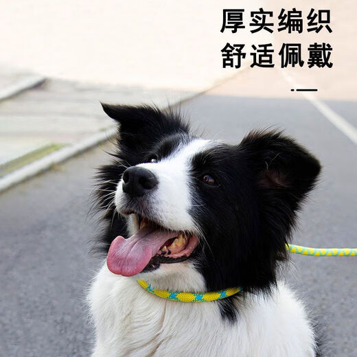 Pet traction rope, special dog leash for outdoor explosion-proof training for dogs, small, medium and large dog p chain, dog walking rope, 1 piece, 1.5 meters/0.6cm, green blue dots, no Specifications