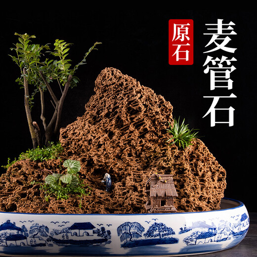 Shiguang Xiaozhan boutique gold straw stone natural water-absorbing stone rockery bonsai stone plant fossil small ornaments straw stone 31-35cm piece