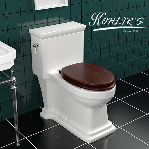 European retro toilet home bathroom flush rainbow style personalized creative American classical toilet Type A (solid wood cover) 400mm