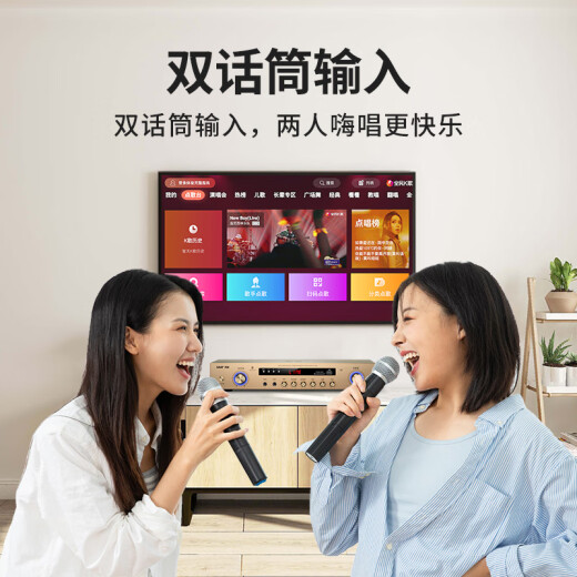 先科（SAST）AV308 家用定阻KTV功放机蓝牙专业大功率家庭影院会议音响功放