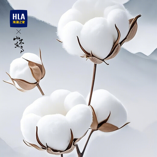 Heilan Home Baseball Cap Men's 2025 Spring and Summer Fishing Outdoor Sports Breathable Punching Sun Shade Sun Protection Cap National Trend Shen Songhei