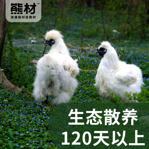 Xiongcai Baifeng black-bone chicken (eviscerated) 2 Jin Jin is equal to 0.5 kg / chicken Silky chicken free-range chicken free-range chicken whole chicken chicken fresh