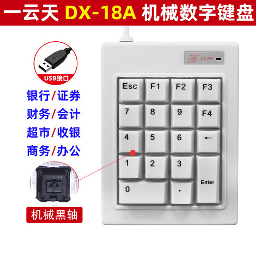 DS-2029 Anti-Pursuit Password Number Keyboard Bank Securities Supermarket Cash Registration 19 Key Wired DX-18A [USB] F1-F4 Delete Black Shaft Machine Standard