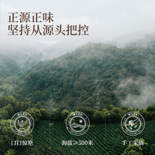 Westsee Shijing Mingqian Boutique Westse Longjing 2025 Neue Teenbox 250g Grüne Tee High-End-Geschenke für Älteste