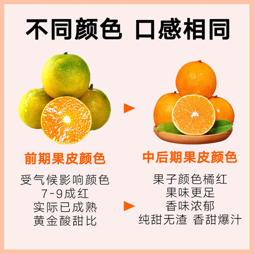 京鲜生 四川爱媛38号果冻橙 净重4.5-5斤 单果170g+ 源头直发包邮