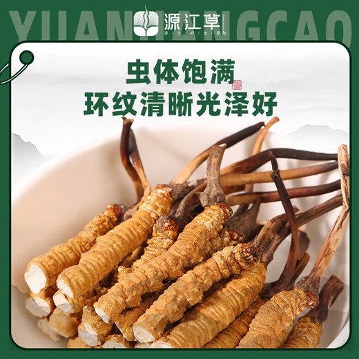 Yuanjiang Gras Cordyceps sinensis Auswahl an Cordyceps vulgaris erschwingliches Paket für ältere Nahrungsergänzungsmittel für sich selbst gegnerische Geschenke 10 Gramm gebrochenes Gras
